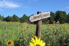 Philmont-2015-On-the-Way-to-Stockade-Ridge-Camp