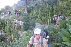 Philmont-2015-Trudging-Up-to-the-Tooth-of-Time